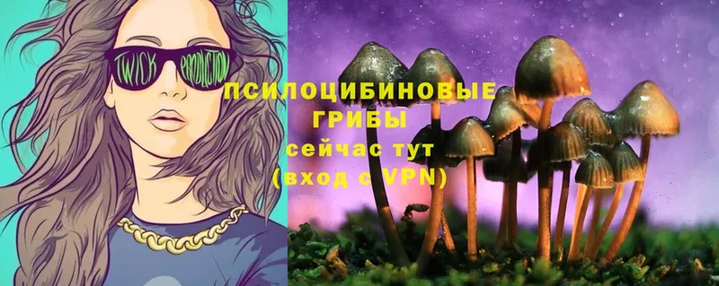 купить наркотики цена  Олёкминск  блэк спрут   Галлюциногенные грибы Cubensis 